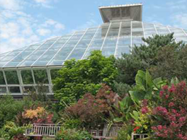 Botanical-Garden.png